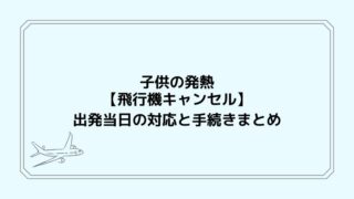 子供の発熱【飛行機キャンセル】出発当日の対応と手続きまとめ